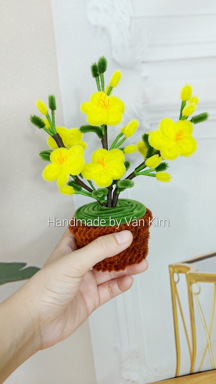 Chậu mai mini kẽm nhung handmade by Vân Kim